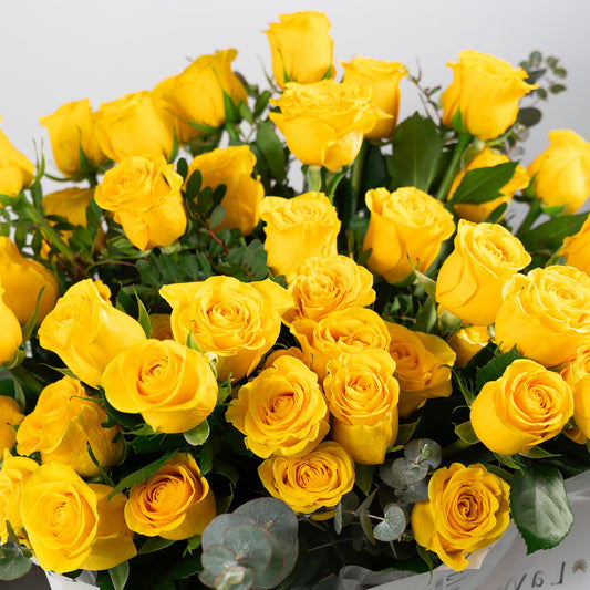 Rose de Layla – Soleil Doré